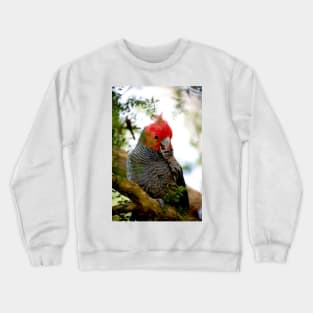 Tucking In Crewneck Sweatshirt